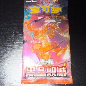 Pokemon Charizard Holographic Booster Pack